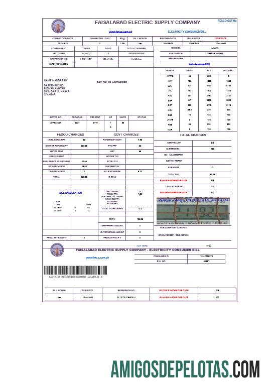em branco PAQUISTÃO FISALABAD Business Utility Bill Word e modelo PDF